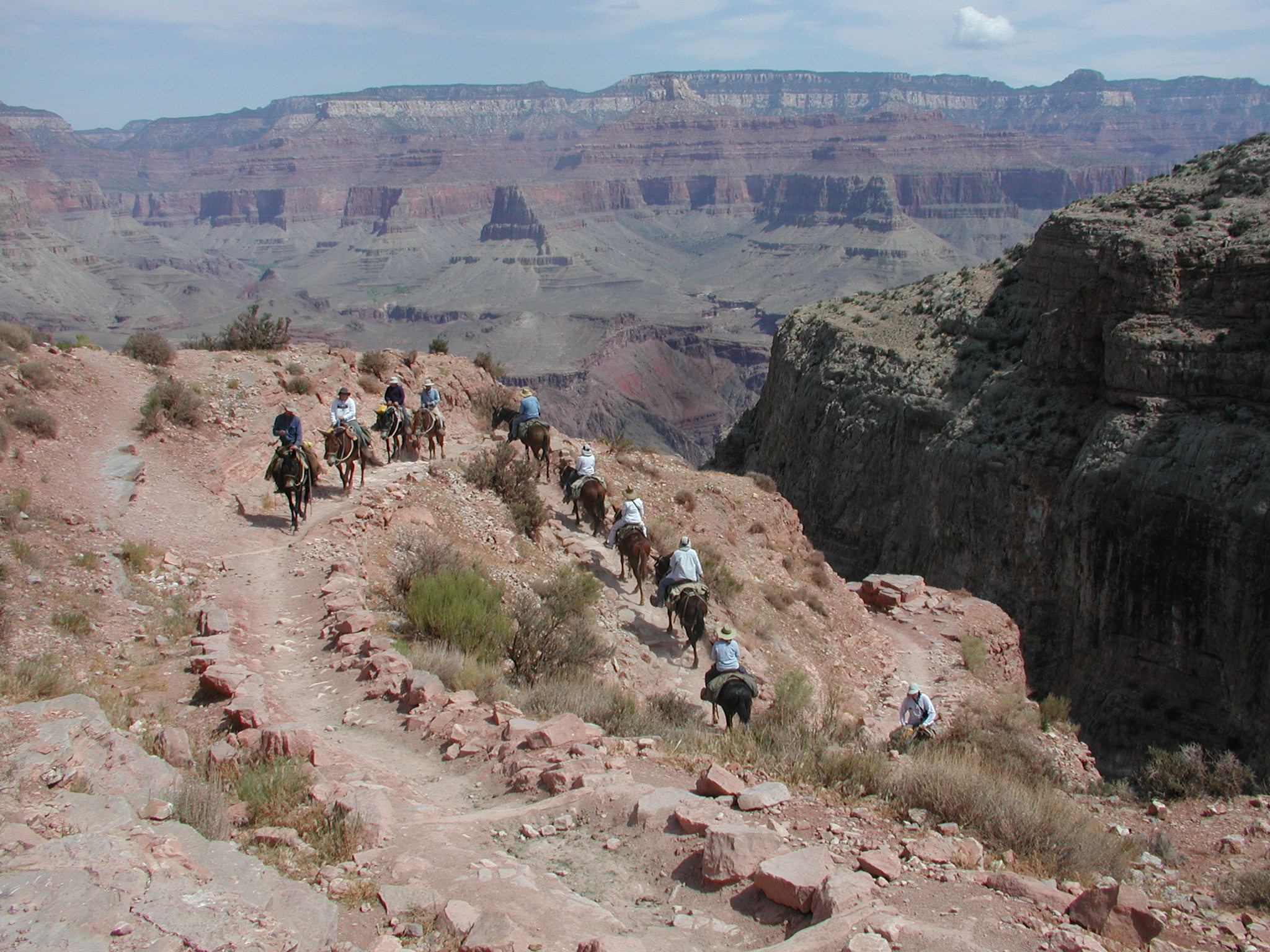 A mule train ascending the South Kaibab Trail of the Grand Canyon in July 2003